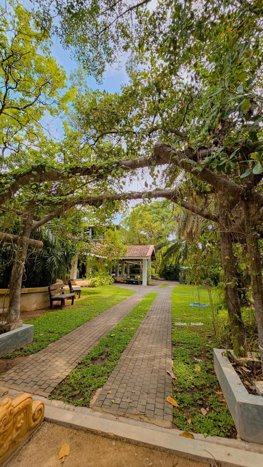 Ceylon Kingsmen Garden Hotel - Katunayake Negombo Exterior foto